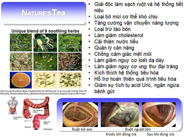 Tác dụng của Nature tea