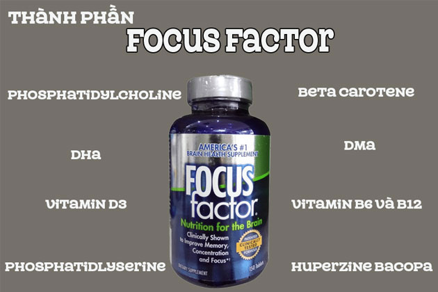 Thành phần Focus Factor