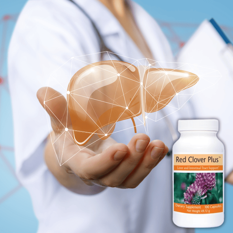 Cách uống Red Clover Plus đúng cách