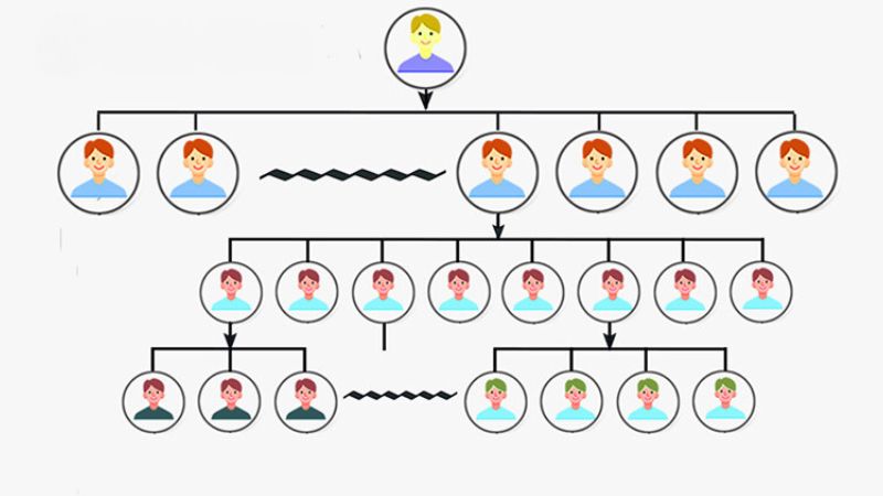 Unicity hoạt động theo mô hình nào